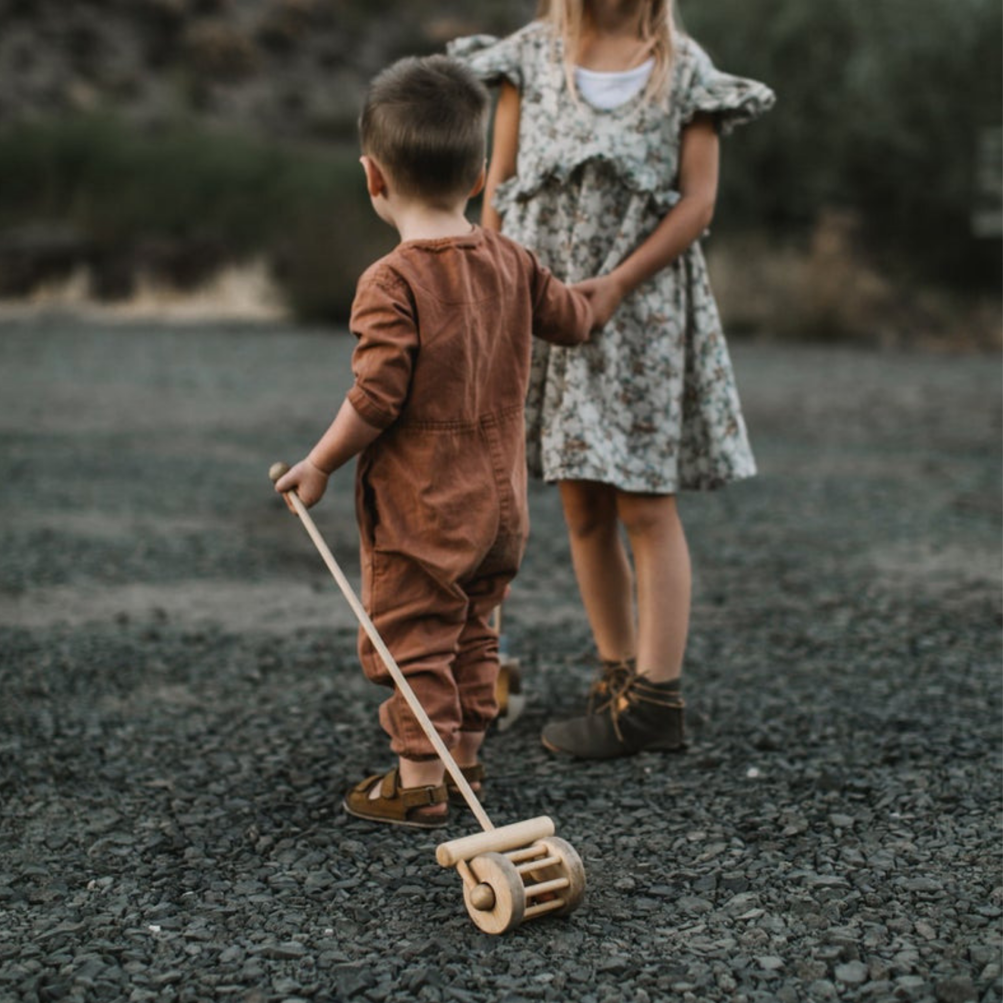 Push along sale lawn mower toy